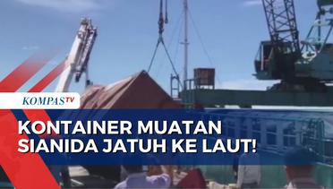 Kontainer Diduga Berisi Sianida di Pelabuhan Namlea Jatuh ke Laut, Ratusan Ikan Mati!