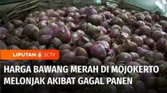 Harga Sembako Masih Tinggi, Bawang Merah di Mojokerto Dijual Rp60.000 per Kilogram | Liputan 6