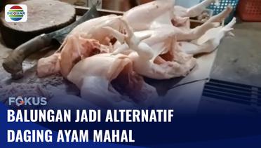 Daging Ayam Mahal, Pembeli Pilih Beli Balungan Sebagai Alternatif | Fokus