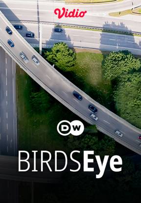 DW - Birds Eye