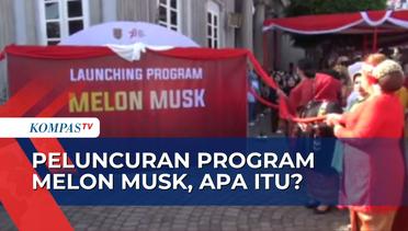 Ajak Milenial Tekan Angka Stunting, Pemkot Semarang Luncurkan Program Melon Musk!