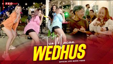 Trio Macan - Wedhus (Official Music Video) | Live Version