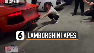 Apes Pria Bakar Sate Pakai Mobil Lamborghini, Endingnya Bikin Geleng-Geleng Kepala