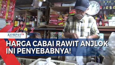 Harga Cabai Rawit Anjlok di Semarang, Ini Penyebabnya