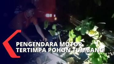 Pohon Tumbang Menimpa Pengendara Motor dan Warung di Banten Akibat Hujan dan Angin Kencang