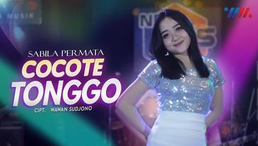 Cocote Tonggo - Sabila Permata Ft New RGS (Official Live Music)
