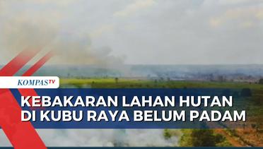 Kebakaran Lahan Hutan di Wilayah Kubu Raya Kalimantan Barat Belum Padam
