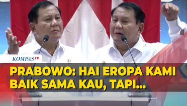 Prabowo Subianto Singgung Tentang Kebijakan Eropa Boikot Kelapa Sawit Indonesia