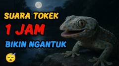 Suara Tokek 1 Jam Untuk Anak Cepat Bobok