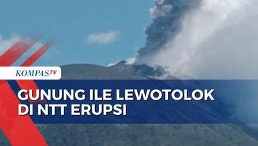Erupsi Gunung Ile Lewotolok, Warga Lembata NTT Diminta Siaga