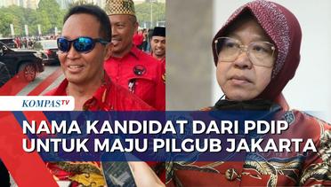 Nama Andika Perkasa hingga Tri Rismaharini Jadi Kandidat Pilgub Jakarta dari PDIP