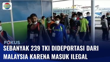 Masuk Secara Ilegal, 239 TKI Dideportasi dari Malaysia | Fokus