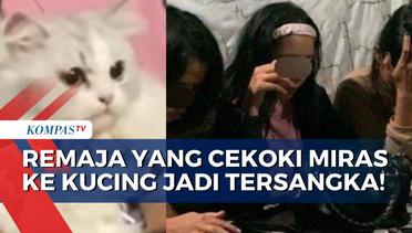 Viral Kasus Cekoki Miras ke Kucing, 3 Remaja Asal Padang Jadi Tersangka!