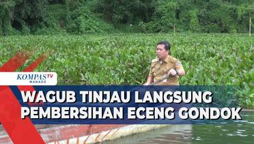 Pembersihan Enceng Gondok Untuk keberlangsungan Danau Tondano
