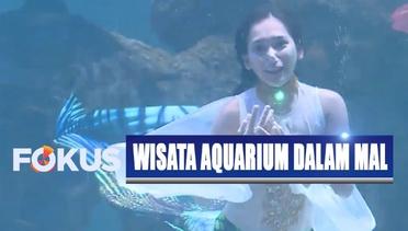Keren! Liburan di Jakarta Aquarium Sajikan Pertunjukan Teater Dalam Air - Fokus
