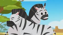 Ep 04 - Hewan paling keren, zebra! | Tayo Bahasa Indonesia