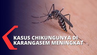 Terdeteksi Muncul Sejak Bulan Mei, 88 Warga di Karangasem Terserang Chikungunya
