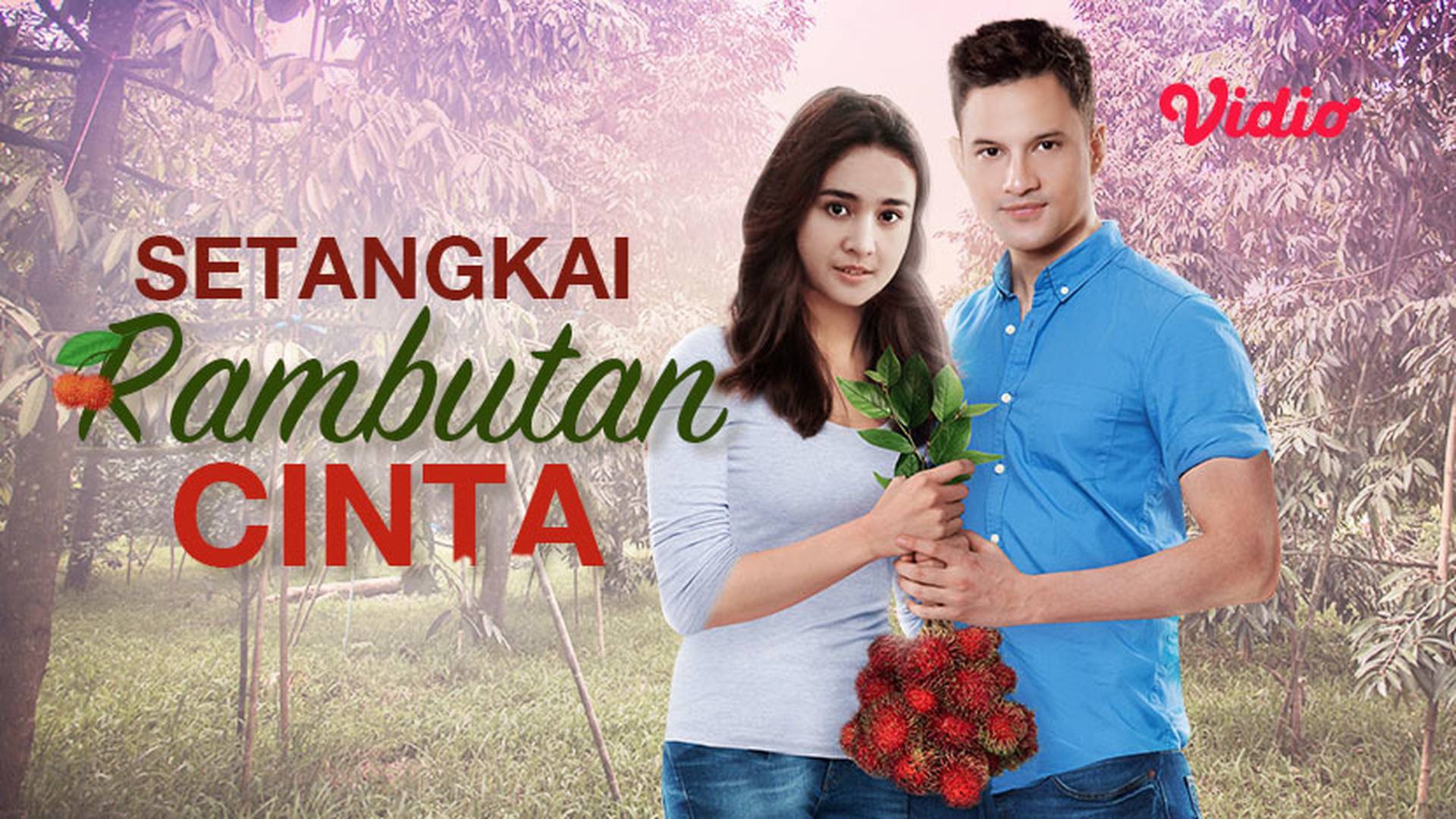 Setangkai Rambutan Cinta