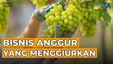 Desa Megulungkidul Kembangkan Bisnis Anggur, Kini Beromzet Puluhan Juta! | Teman Bisnis