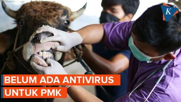 Satgas : Belum Ada Antivirus untuk PMK