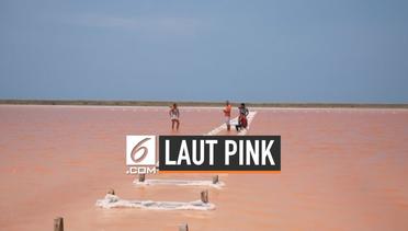 Penyebab Air Laut Kolombia Berubah jadi Pink
