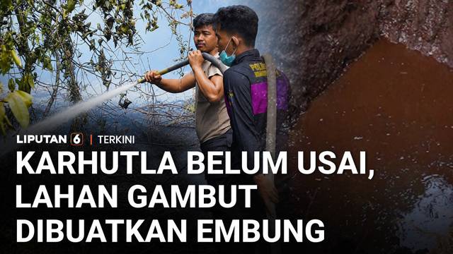 Karhutla Riau Tak Kunjung Usai, Lahan Gambut Disemprot dan Dibuatkan Embung | Liputan 6
