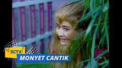 Highlight Monyet Cantik 2 - Episode 16