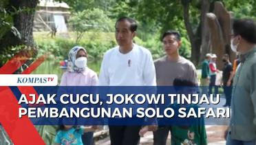 Jokowi Tinjau Pembangunan Solo Safari Ditemani Jan Ethes dan La Lembah Manah!