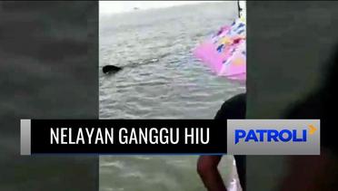 Viral Video Nelayan Ganggu Kawanan Hiu Paus di Perairan Pasuruan