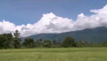 Sigi Investigasi: Mencari Jejak di Gunung Biru