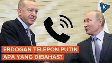 Erdogan dan Putin Bahas Biji - Bijian Laut Hitam Melalui Telepon, Bahas Apa?