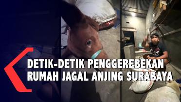 Detik Detik Komunitas Pecinta Hewan Gerebek Rumah Jagal Anjing di Surabaya