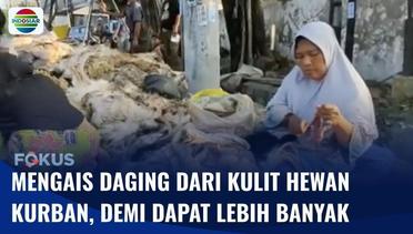 Ibu-ibu di Surabaya Rela Cari Sisa Daging yang Tersisa di Kulit Kambing Kurban | Fokus
