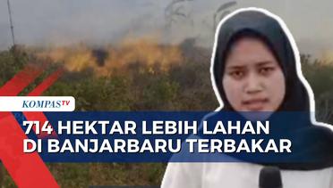 Proses Pemadaman Kebakaran Hutan dan Lahan di Banjarbaru Terkendala Cuaca dan Angin