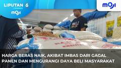 Harga Beras Naik. - Liputan 6 Pagi | Moji