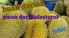 ada kabar baik buah durian tidak mengandung kolesterol jahat dan gizinya bagus untuk tubuh 