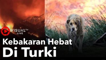 Kebakaran Hebat Di Turki