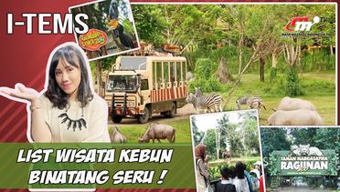 Ini Dia List Destinasi Wisata Kebun Binatang Paling Seru di Indonesia! | I-Tems