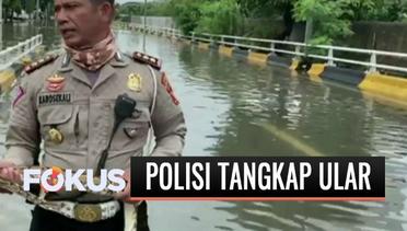 Indonesia Viral: Polisi Tangkap Ular Sanca  saat Banjir