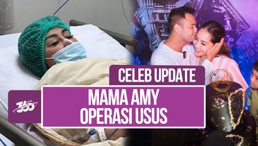 Raffi Ahmad Ulang Tahun, Amy Qanita Malah Terbaring Sakit