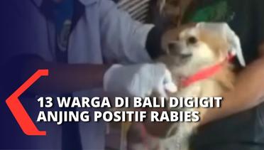 13 Korban Gigitan Anjing Rabies di Gianyar Bali Sudah Diberi Vaksinasi Anti