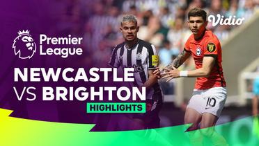 Newcastle vs Brighton - Highlights | Premier League 23/24