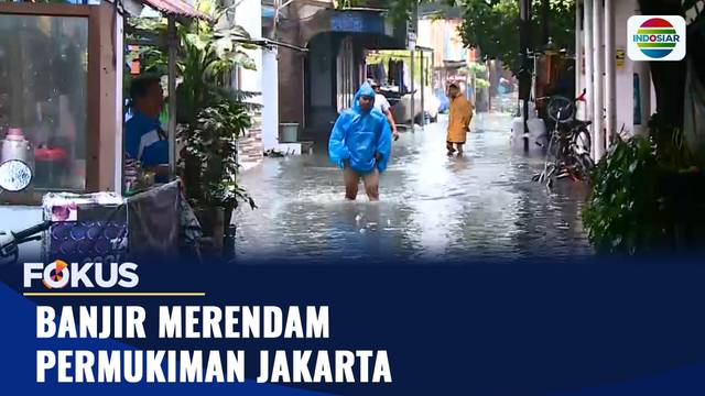 Banjir Merendam Permukiman Jakarta | Fokus