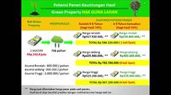 Bag 4 | Berkah Investasi Pohon Jabon Syariah di PT. Global Agro Bisnis