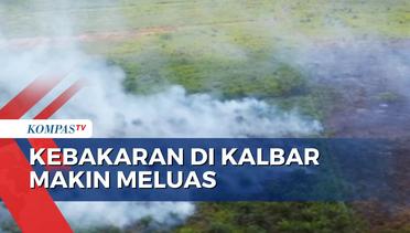Kebakaran Hutan di Kalimantan Barat Meluas, Gubernur Bekukan Izin Konsensi Perusahaan!