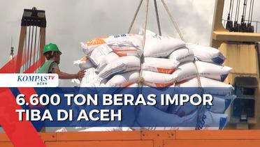 6.600 Ton Beras Impor dari Vietnam Tiba di Aceh