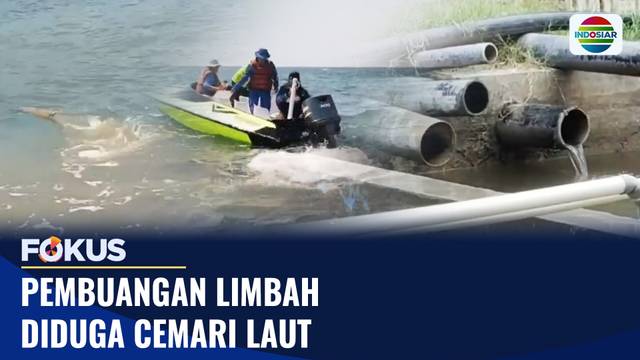 Pembuangan Limbah Diduga Cemari Laut | Fokus