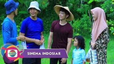 Sinema Indosiar - Berkah Ketulusan Keluarga Pemilik Kebun Jeruk