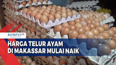 Harga Telur Ayam di Makassar Mulai Naik