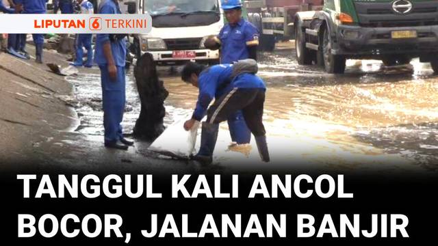 Tanggul Kali Ancol Bocor: Air Tumpah ke Jalan, Karung Pasir Jadi Solusi | Liputan 6